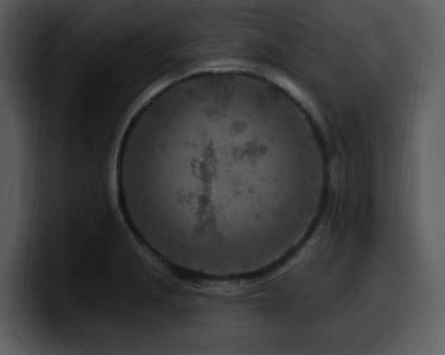 X0000100781229200806191255