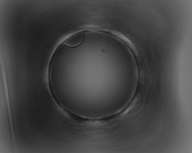 X0000100781231200806191255