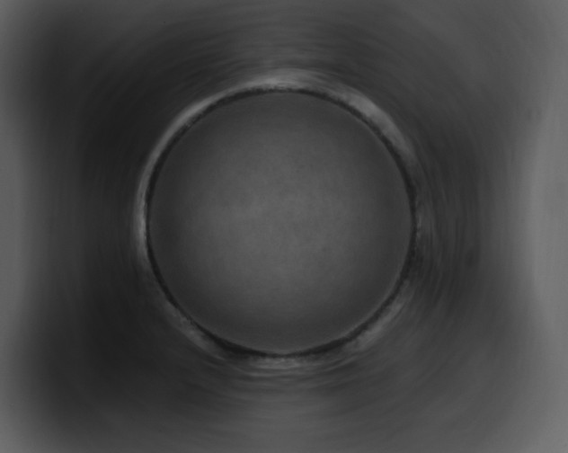 X0000100781232200806191255