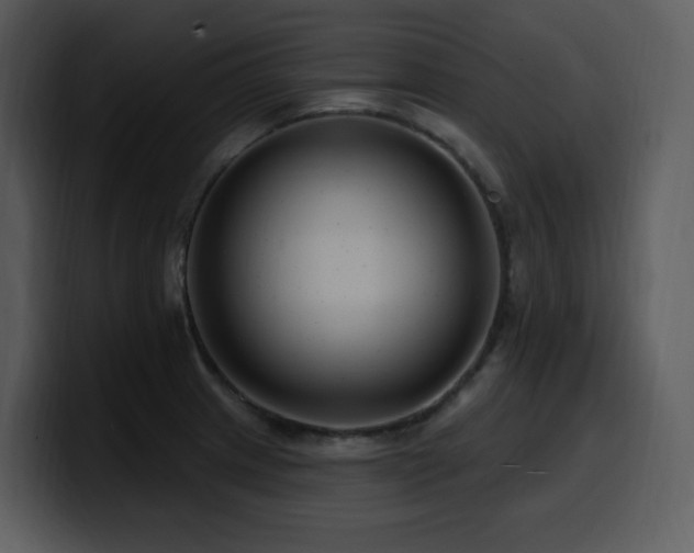 X0000100781233200806191255