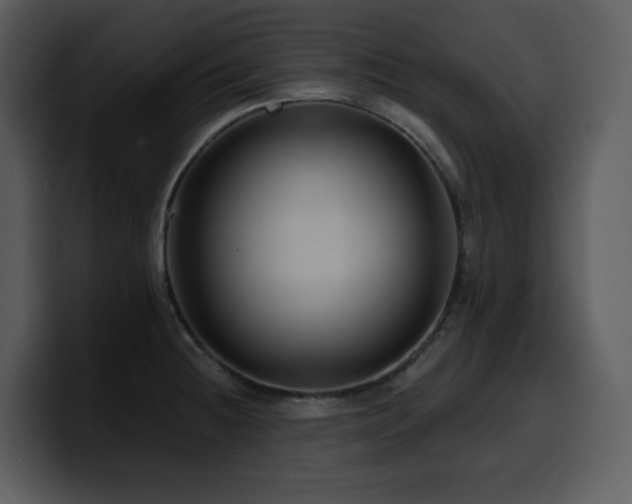 X0000100781236200806191255