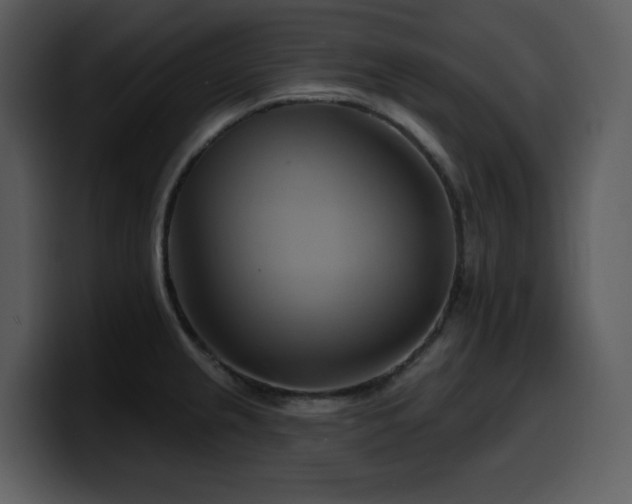 X0000100781237200806191255