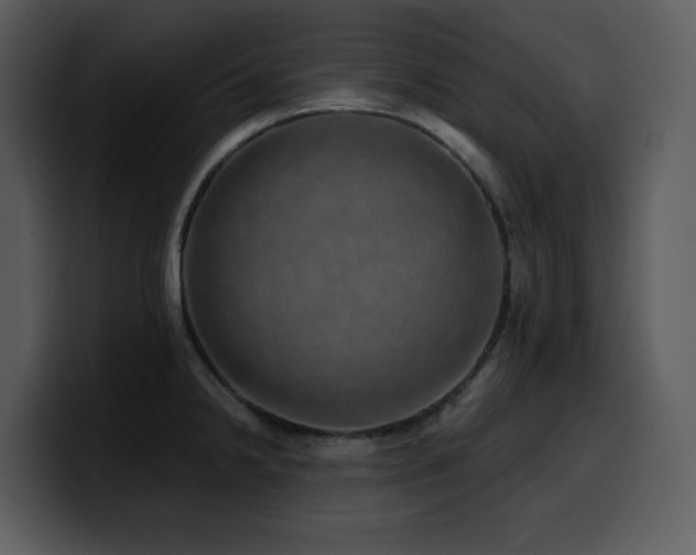 X0000100781238200806191255