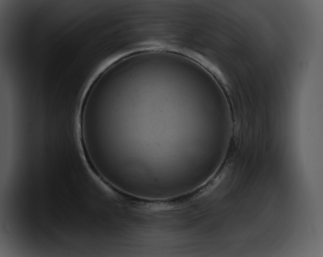 X0000100781239200806191256