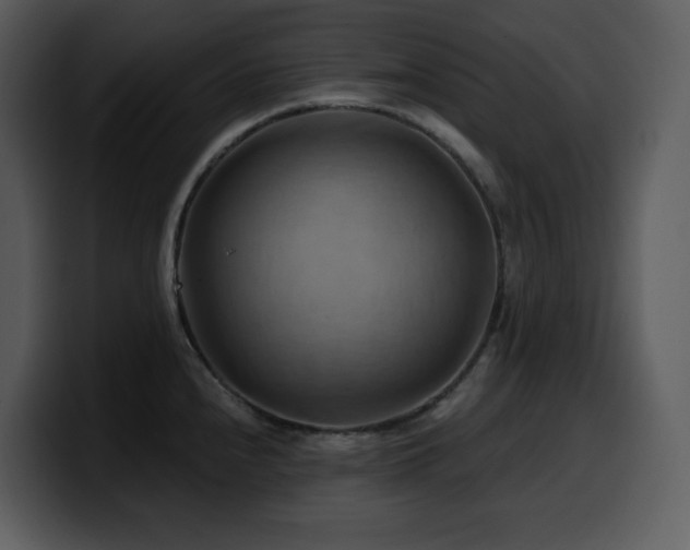 X0000100781240200806191256