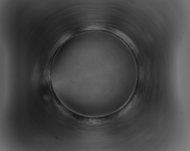 X0000100781241200806191256