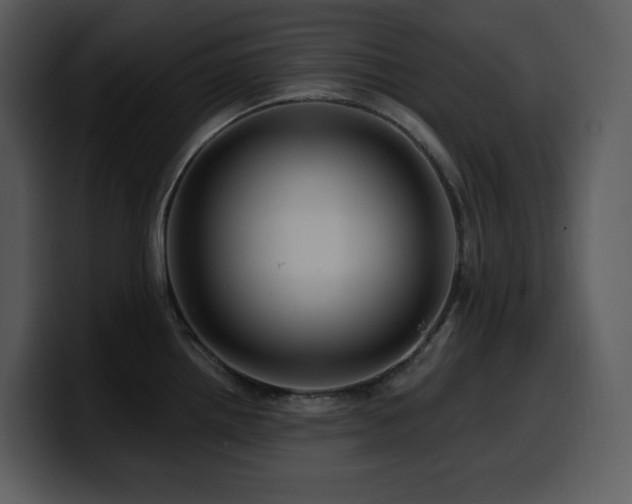 X0000100781242200806191256