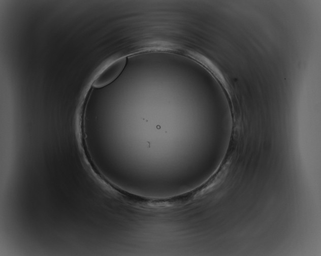 X0000100781243200806191256