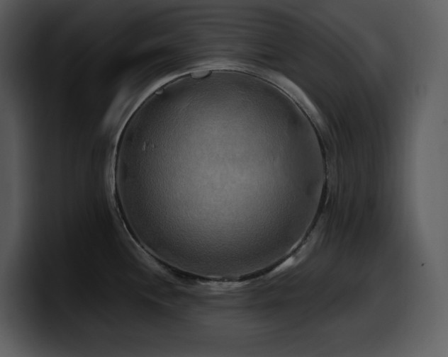 X0000100781244200806191256