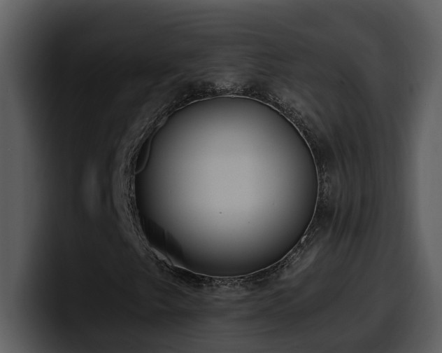 X0000100781249200806191255