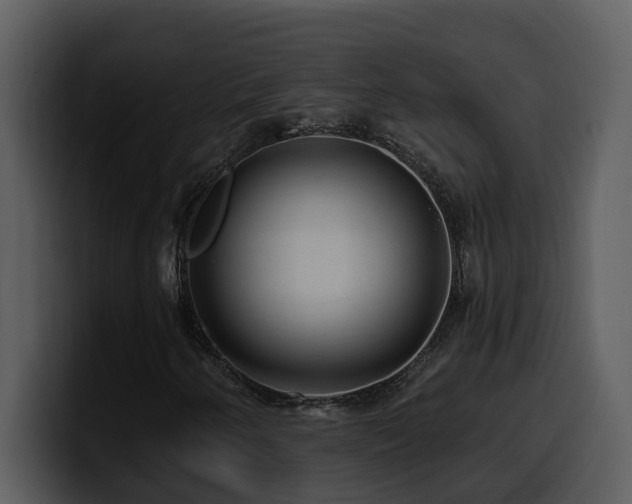 X0000100781250200806191255