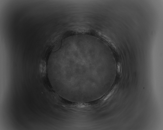 X0000100781251200806191255