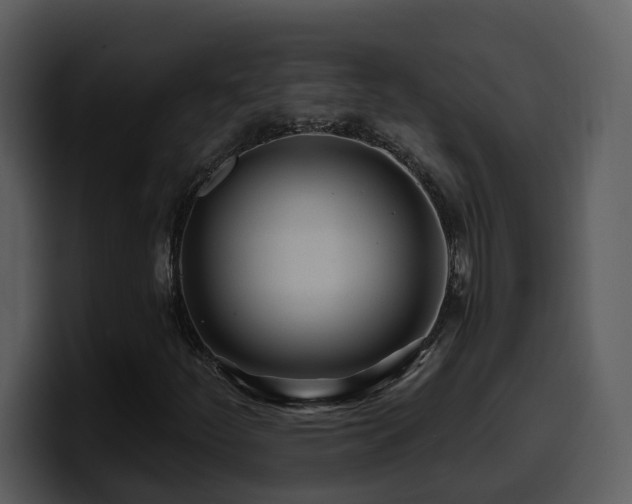 X0000100781252200806191255