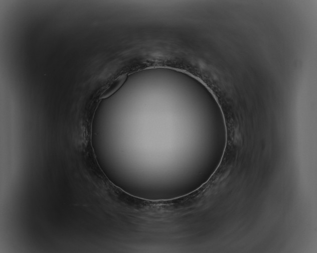 X0000100781253200806191255