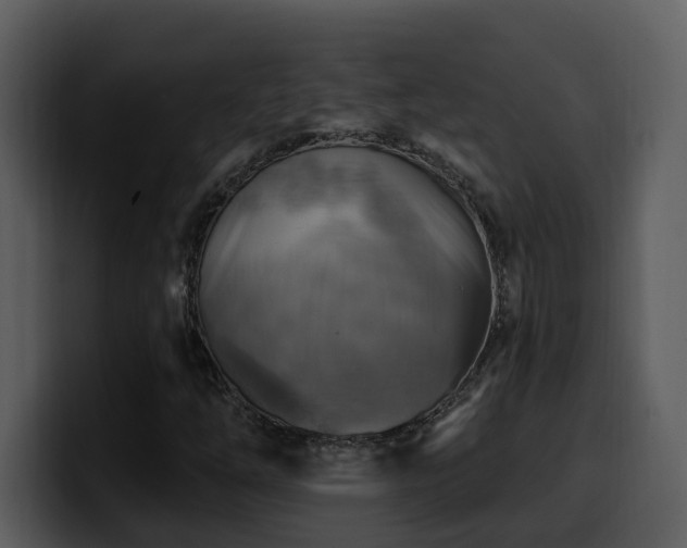 X0000100781254200806191255