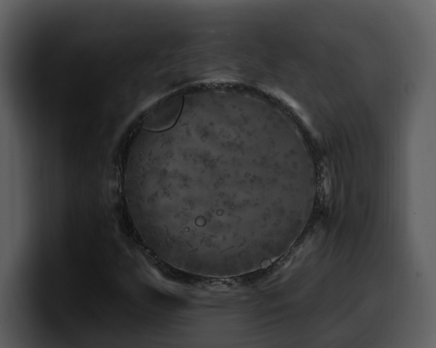 X0000100781255200806191255