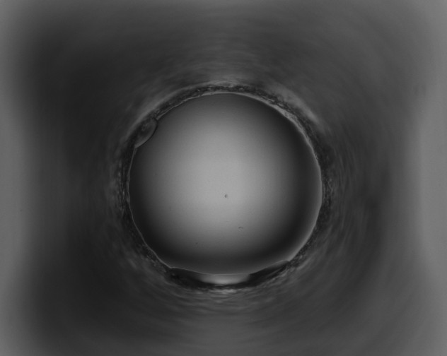 X0000100781256200806191255