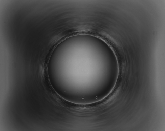 X0000100781257200806191255