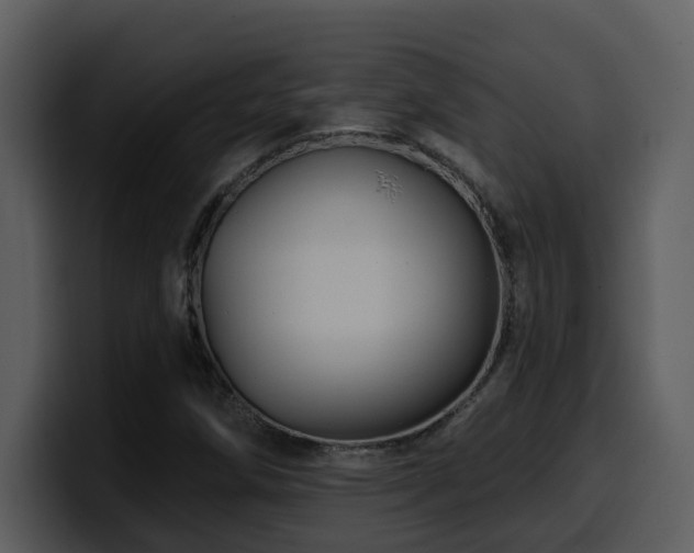 X0000100781258200806191255