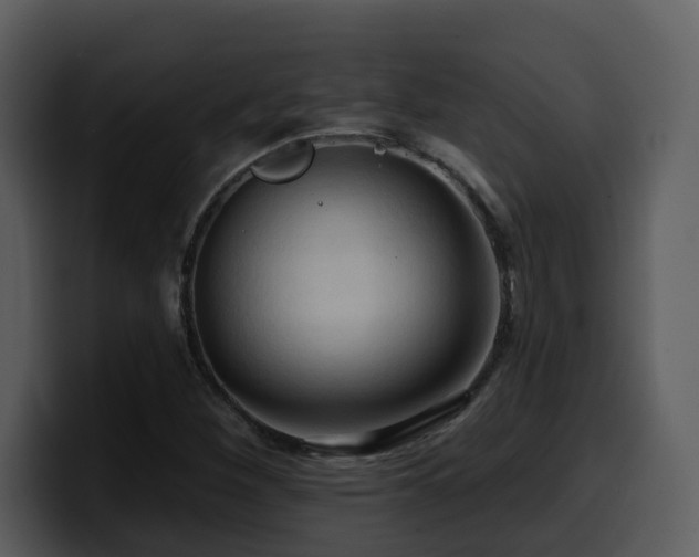 X0000100781260200806191255