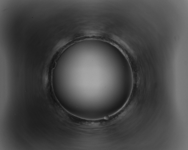 X0000100781261200806191255