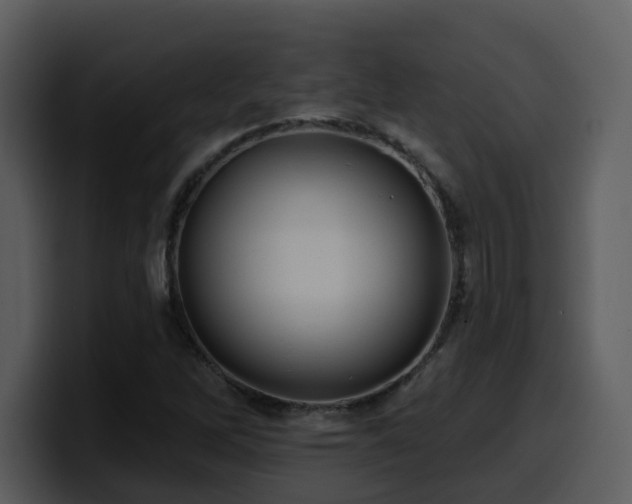 X0000100781262200806191255