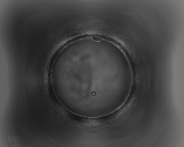 X0000100781263200806191255