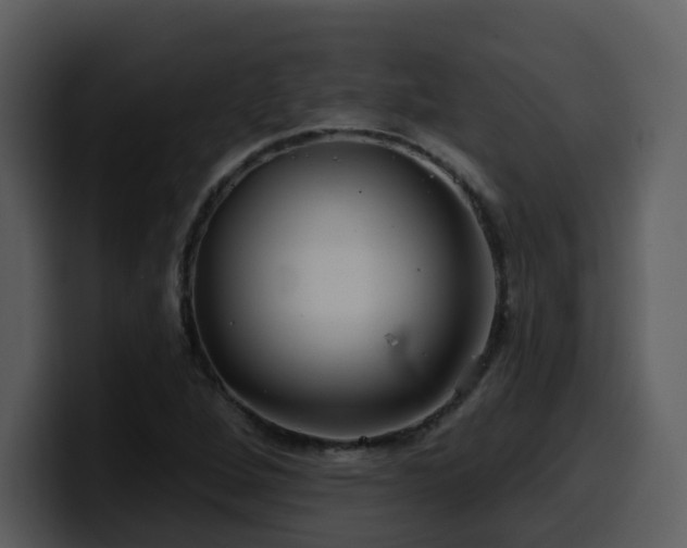 X0000100781264200806191255