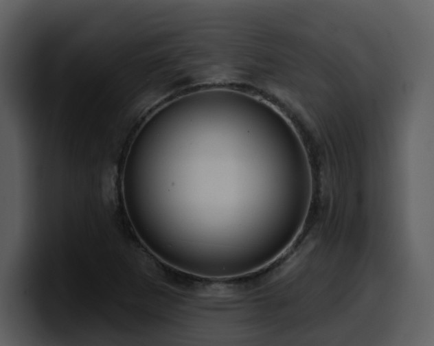 X0000100781265200806191255