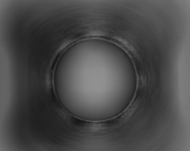 X0000100781266200806191255