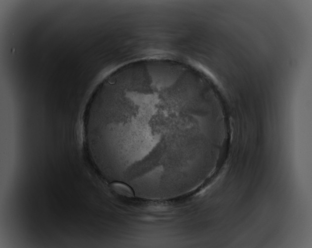 X0000100781267200806191255