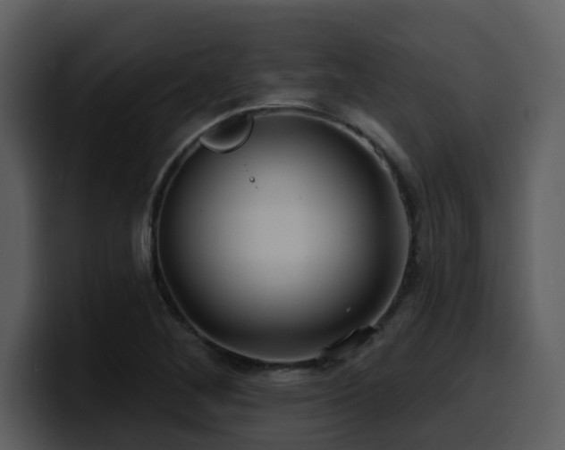 X0000100781268200806191255