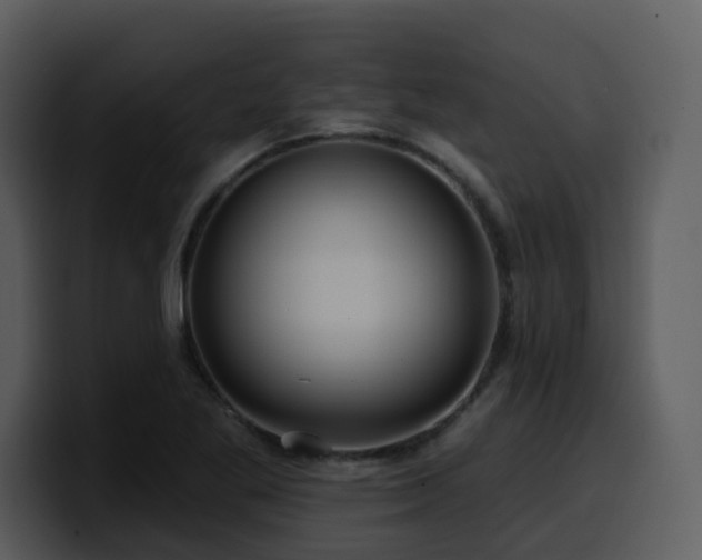 X0000100781269200806191255