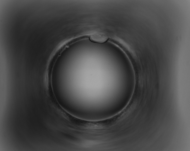 X0000100781270200806191255