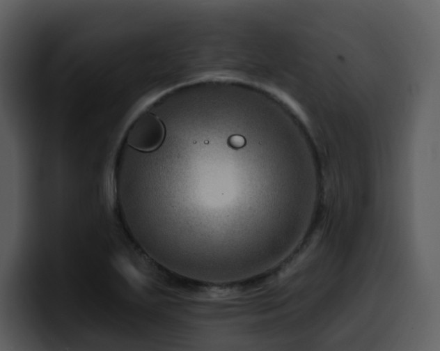 X0000100781271200806191255