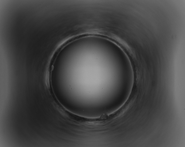 X0000100781272200806191255