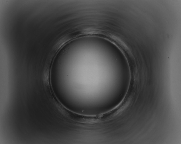 X0000100781273200806191255