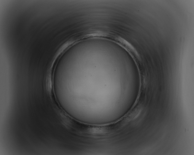 X0000100781274200806191255