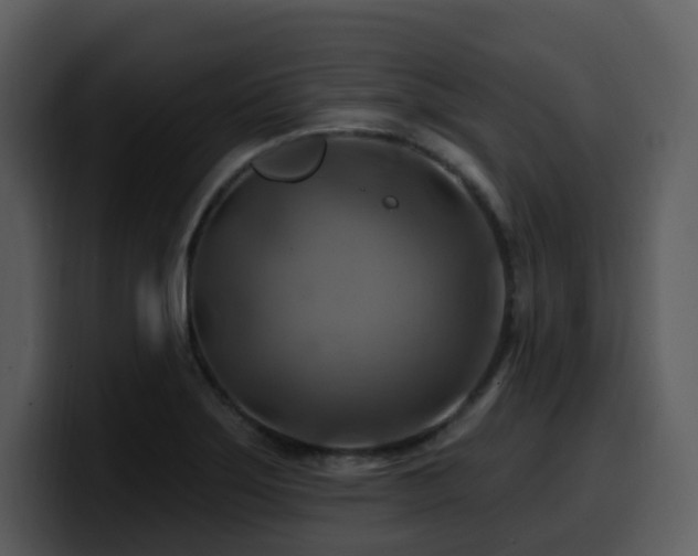 X0000100781275200806191255