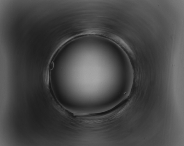 X0000100781276200806191255