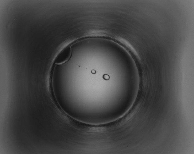 X0000100781277200806191255