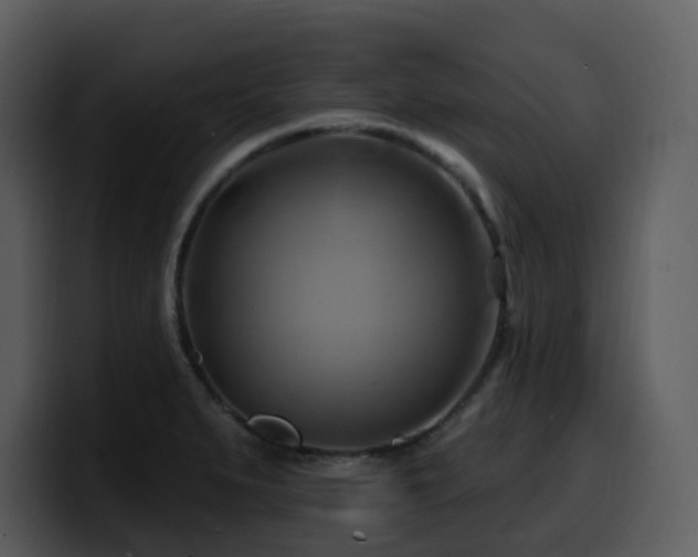 X0000100781279200806191255