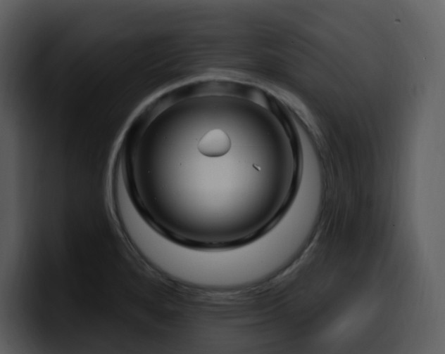 X0000100781280200806191255