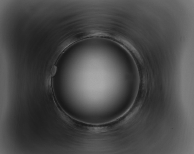 X0000100781281200806191255