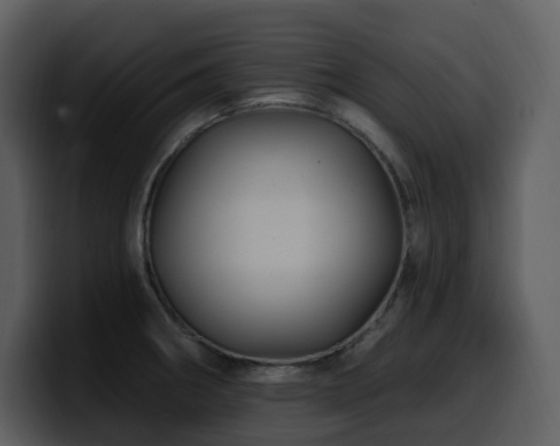 X0000100781282200806191255