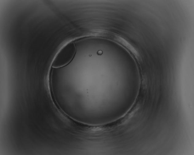 X0000100781283200806191254