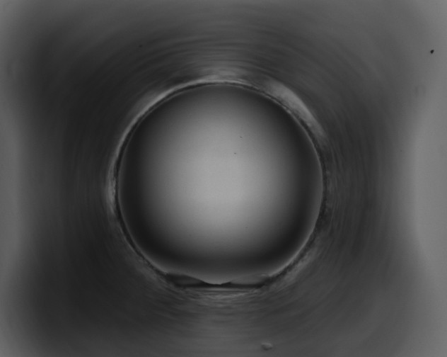 X0000100781284200806191254