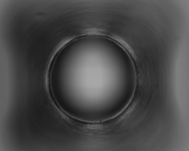 X0000100781285200806191254