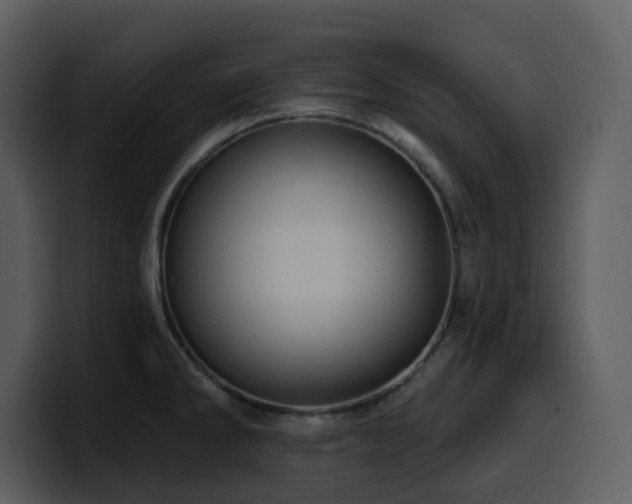 X0000100781286200806191254