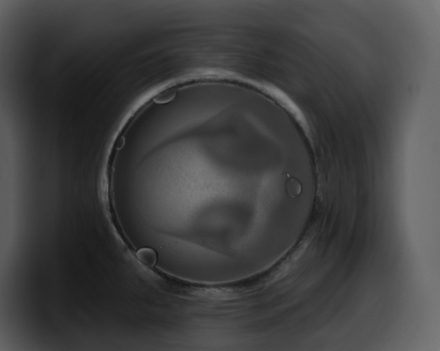 X0000100781287200806191254